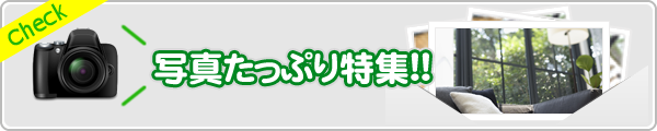 check ʐ^ՂWII