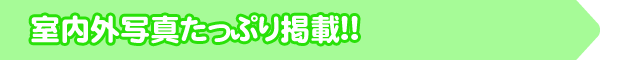 Oʐ^ՂfځII